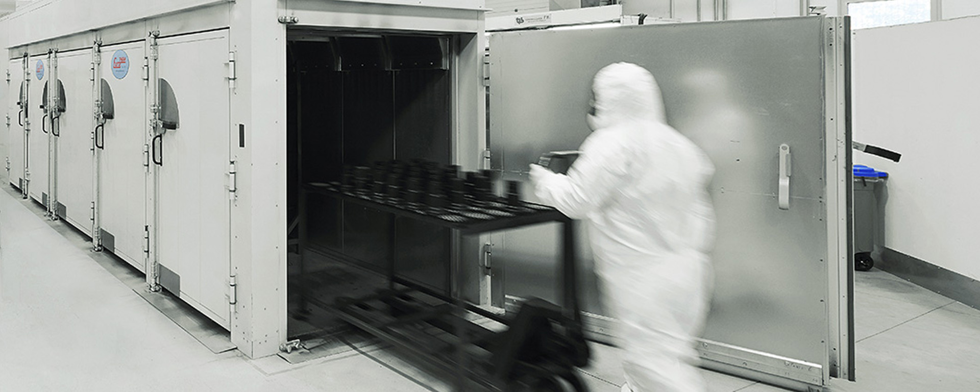 DSC_2671_tagliata sito